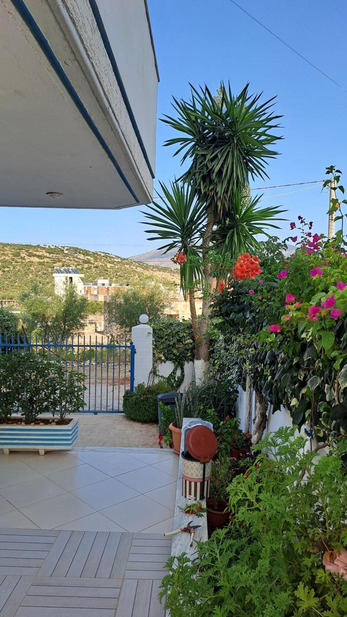 קסאמיל Hotel Vila Ali מראה חיצוני תמונה
